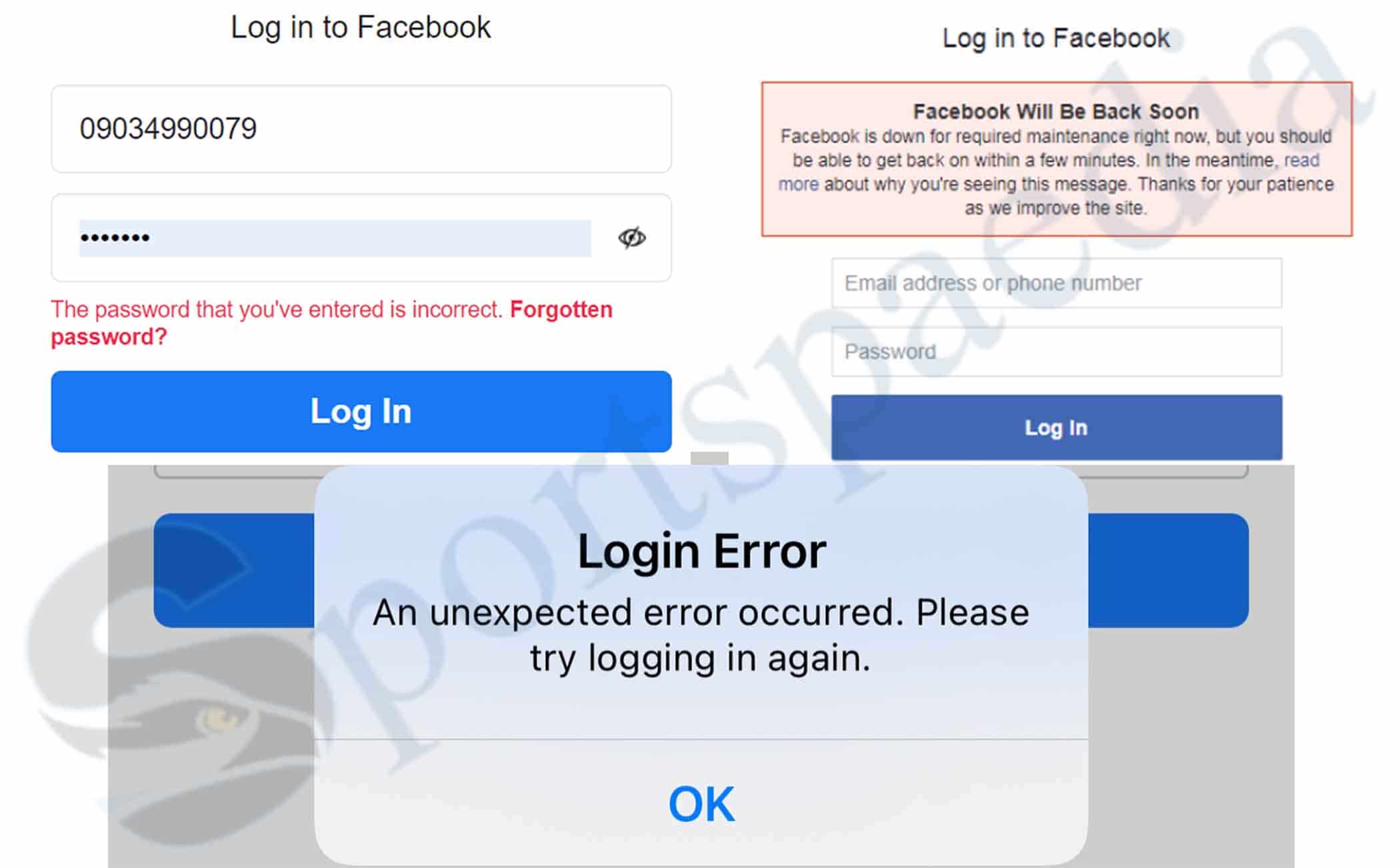 Incorrect Password Error Message when trying to log into Facebook