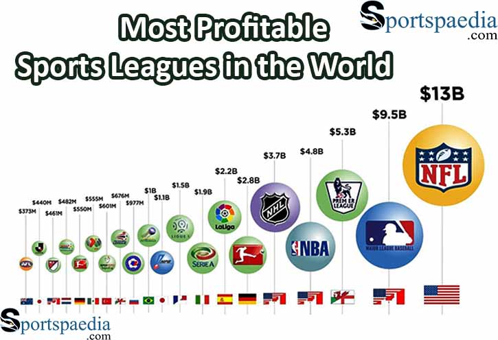 Top 10 Most Profitable Sports Leagues in the World