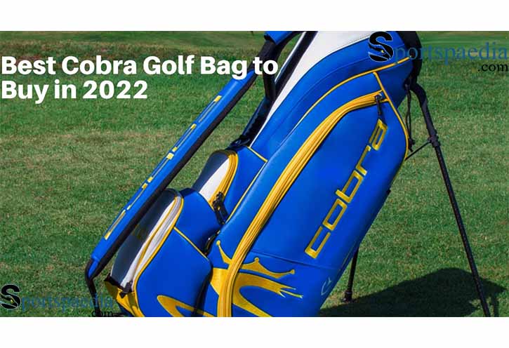 Best Cobra Golf Bag to Buy